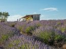 Notre cabane sur le plateau de valensole (2)